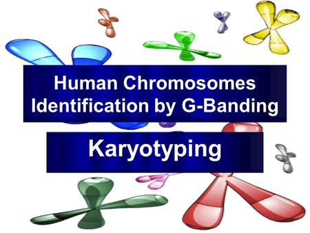 Human Chromosomes Identification by G-Banding