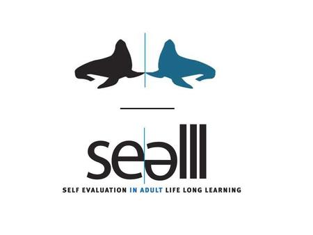 _____. Self evaluation and distortion? Self evaluation Self initiated Systematic Internal evaluation Focused on learning Individual, collective and organisational.