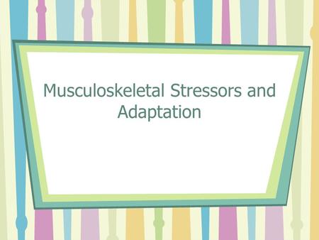 Musculoskeletal Stressors and Adaptation