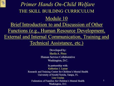 1 THE SKILL BUILDING CURRICULUM Module 10 Brief Introduction to and Discussion of Other Functions (e.g., Human Resource Development, External and Internal.