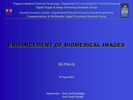 Prague Institute of Chemical Technology - Department of Computing and Control Engineering Digital Signal & Image Processing Research Group Brunel University,