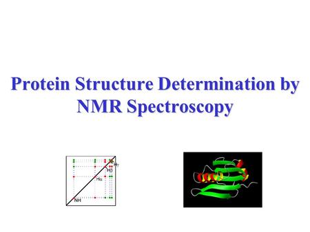 Protein Structure Determination by NMR Spectroscopy