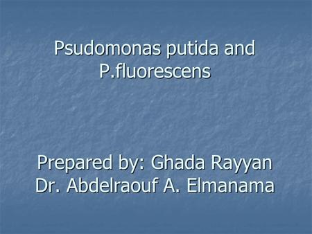 Psudomonas putida and P.fluorescens Prepared by: Ghada Rayyan Dr. Abdelraouf A. Elmanama.