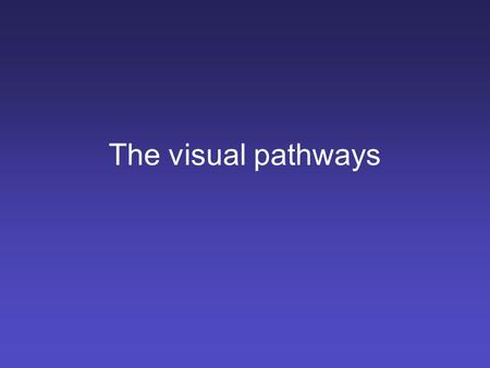 The visual pathways. Ventral pathway receptive field properties 0 1 TE receptive field V4 receptive field V1 receptive field.