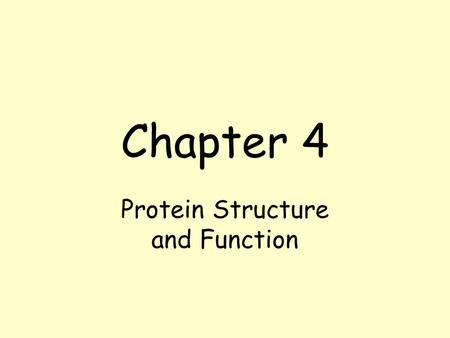 Protein Structure and Function