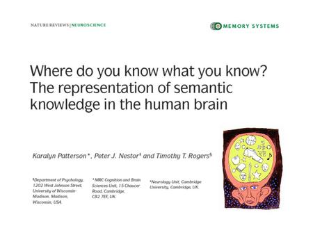 Visual processing pathways Ungerleider et al., 1998.