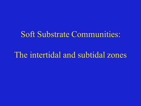 Soft Substrate Communities: The intertidal and subtidal zones.