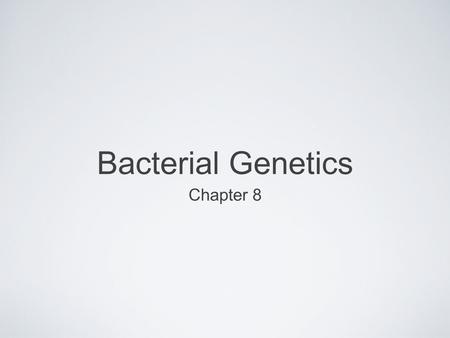 Bacterial Genetics Chapter 8. The Problem of Antibiotic Resistance Staphylococcus aureus Common Gram + bacterium Multi-drug resistant strains are prevalent.