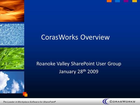 The Leader in Workplace Software for SharePoint ® CorasWorks Overview Roanoke Valley SharePoint User Group January 28 th 2009.