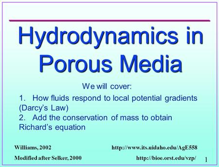 Hydrodynamics in Porous Media