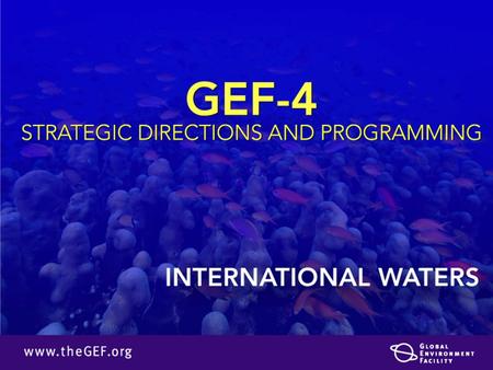 International Waters Operational Strategy Program Study & OPS 3 confirm validity Simple strategy: Build capacity to work together, set priorities, agree.