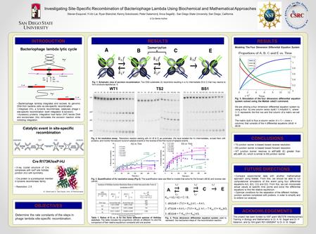 K eq = k2 f / k2 r = C / B, 1. dA(t)/dt = (T/(1+ K eq )) k1 r – A k1 f 2. dT(t)/dt = A k1 f – (T/(1+ K eq )) k1 r – T K eq /(1+ K eq )k3 f 3. dE(t)/dt.