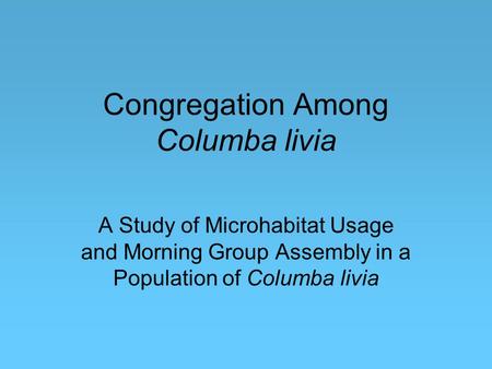 Congregation Among Columba livia A Study of Microhabitat Usage and Morning Group Assembly in a Population of Columba livia.