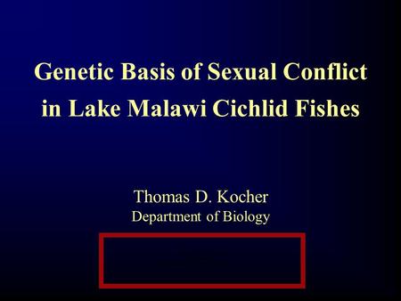 Thomas D. Kocher Department of Biology Genetic Basis of Sexual Conflict in Lake Malawi Cichlid Fishes.