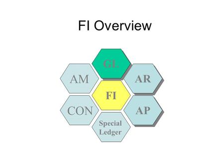 FI Overview FI AP AR AM GL CON Special Ledger. G/L Reporting Legal or external reporting Balance sheet Income Statement Statement of Financial Position.