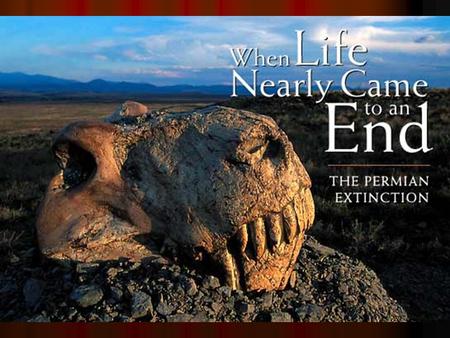 The Terminal Permian Extinction Greatest mass extinction ever Greatest mass extinction ever 90-95% of marine taxa 90-95% of marine taxa Approximately.