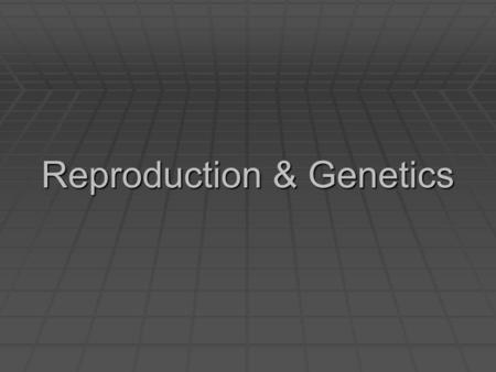 Reproduction & Genetics