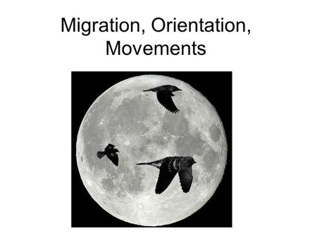 Migration, Orientation, Movements. What is migration? Migration: An annual two-way movement, usually based on seasonality Breeding Area Wintering Area.