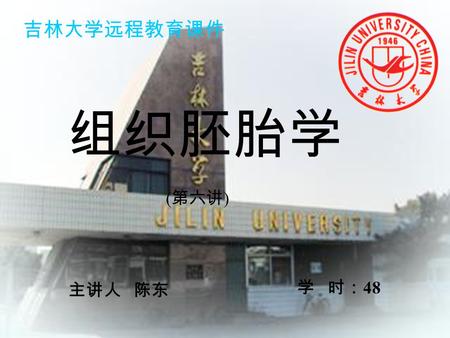 吉林大学远程教育课件 组织胚胎学 (第六讲) 主讲人 陈东 学 时：48.