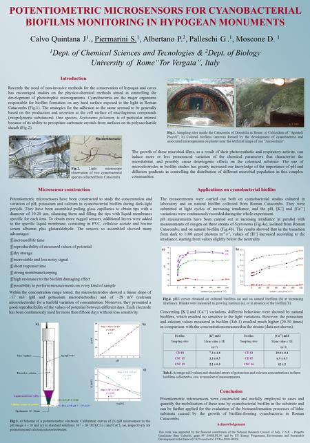 POTENTIOMETRIC MICROSENSORS FOR CYANOBACTERIAL BIOFILMS MONITORING IN HYPOGEAN MONUMENTS Calvo Quintana J 1., Piermarini S. 1, Albertano P. 2, Palleschi.