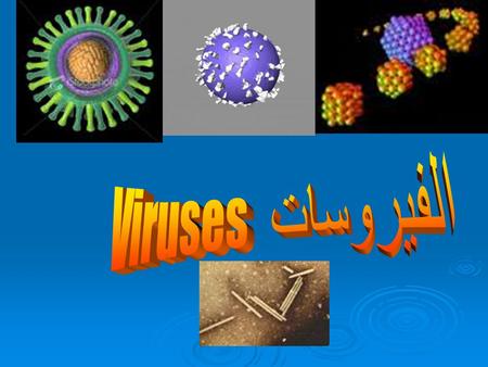 Viruses الفيروسات.