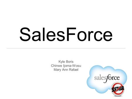 SalesForce Kyle Boris Chinwe Ijoma-Wosu Mary Ann Rafael.