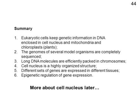 Summary 1.Eukaryotic cells keep genetic information in DNA enclosed in cell nucleus and mitochondria and chloroplasts (plants); 2.The genomes of several.