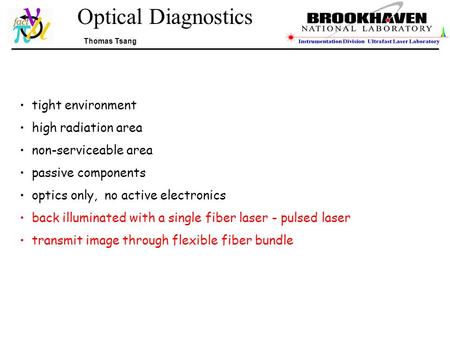 Optical Diagnostics Thomas Tsang tight environment high radiation area non-serviceable area passive components optics only, no active electronics back.