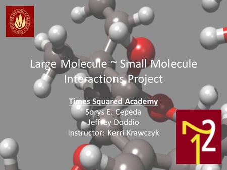 Large Molecule ~ Small Molecule Interactions Project Times Squared Academy Sorys E. Cepeda Jeffrey Doddio Instructor: Kerri Krawczyk.