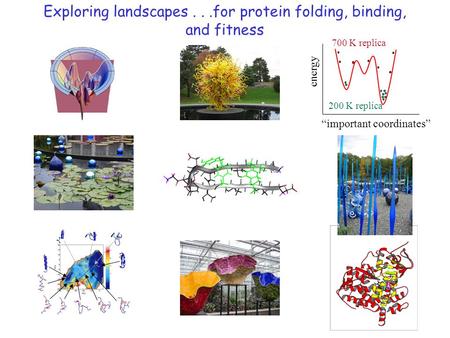 Exploring landscapes...for protein folding, binding, and fitness “important coordinates” energy 700 K replica 200 K replica.