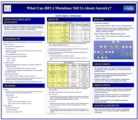 What Can BRCA Mutations Tell Us About Ancestry? Krizia Gupiteo, Anthropology CONCLUSIONS OBJECTIVES/RESEARCH QUESTIONS RESULTS BACKGROUND IMPLICATIONS.