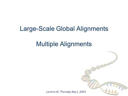 Large-Scale Global Alignments Multiple Alignments Lecture 10, Thursday May 1, 2003.