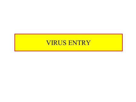 VIRUS ENTRY.