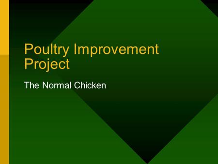 Poultry Improvement Project