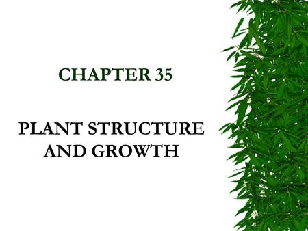 PLANT STRUCTURE AND GROWTH