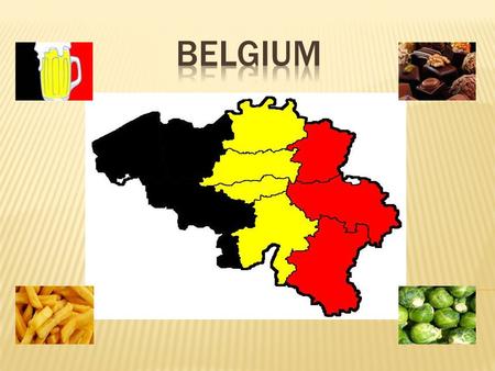  Capital -> Brussels  Official Languages -> Dutch, French, German  Population -> 10,665,867  Government -> Parliamentary democracy & Constitutional.