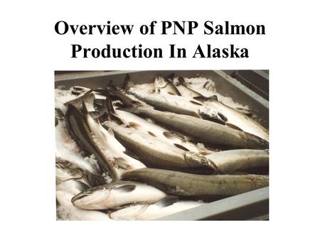 Overview of PNP Salmon Production In Alaska. The PNP Program Began in the Late 70’s.