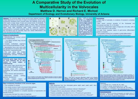 Abstract: The volvocine algae (Volvox and its close relatives) represent a unique opportunity for the study of origins of multicellularity. Several major.