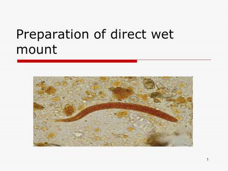 Preparation of direct wet mount