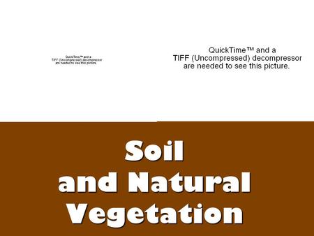 Soil and Natural Vegetation