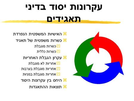 עקרונות יסוד בדיני תאגידים