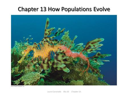 Chapter 13 How Populations Evolve