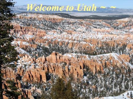 Welcome to Utah ～～.  Shopping & Transportation  Driving.