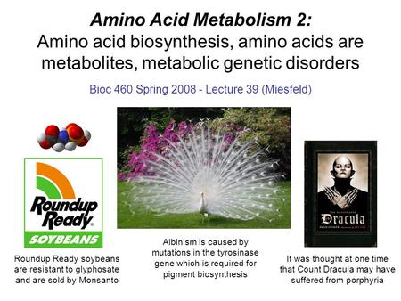 Bioc 460 Spring Lecture 39 (Miesfeld)