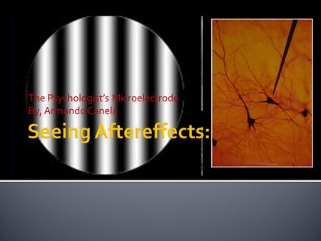 The Psychologist’s Microelectrode By, Armando Canela.