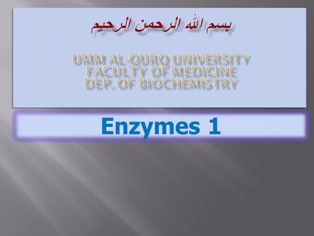 Enzymes are biological catalysts Enzymes are proteins that:  Increase the rate of reaction by lowering the energy of activation.  Catalyze nearly all.