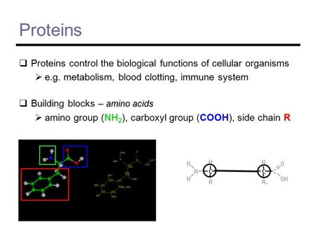 Proteins  Proteins control the biological functions of cellular organisms  e.g. metabolism, blood clotting, immune system amino acids  Building blocks.