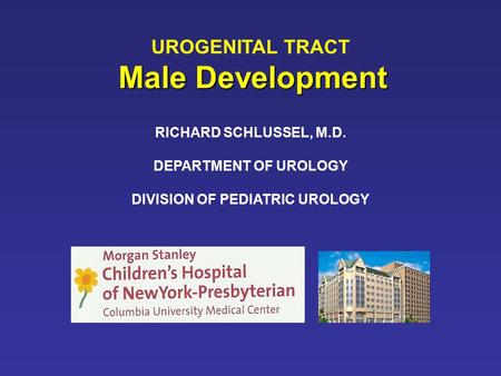 DIVISION OF PEDIATRIC UROLOGY