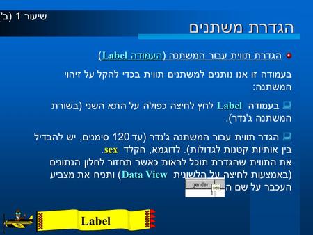 הגדרת משתנים העמודה Label הגדרת תווית עבור המשתנה ( העמודה Label) בעמודה זו אנו נותנים למשתנים תווית בכדי להקל על זיהוי המשתנה : Label  בעמודה Label לחץ.