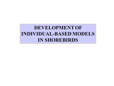 DEVELOPMENT OF INDIVIDUAL-BASED MODELS IN SHOREBIRDS.